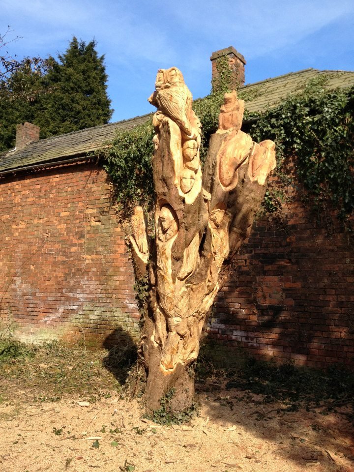 Photograph of Sensory Garden tree carving